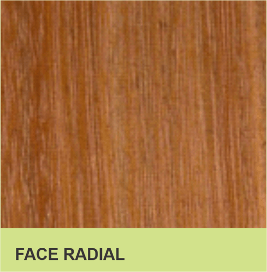 FACE RADIAL