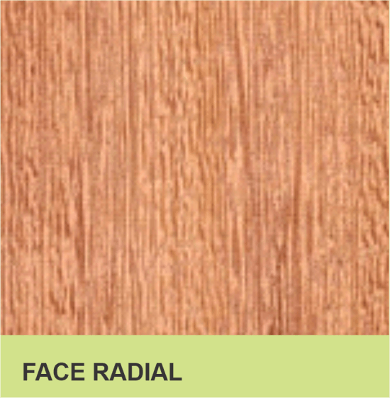 FACE RADIAL