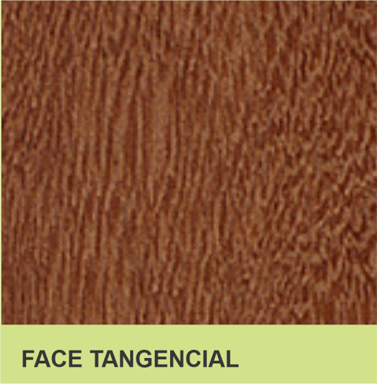 FACE TANGENCIAL