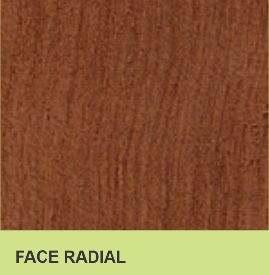 FACE RADIAL