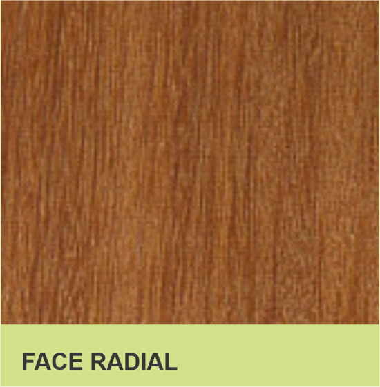 FACE RADIAL