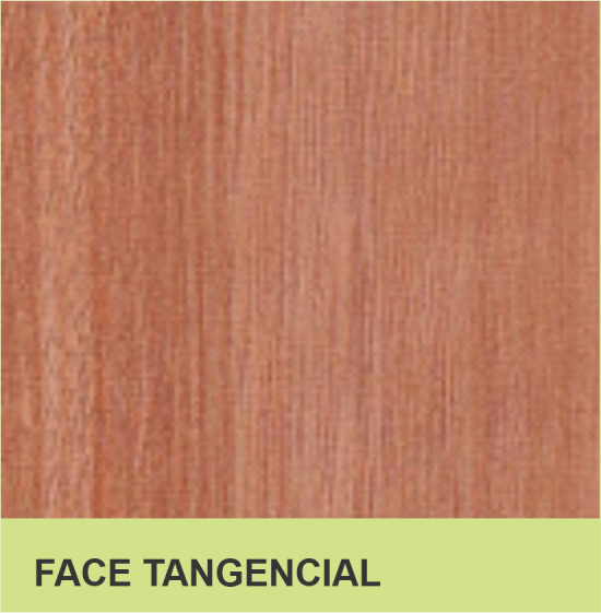 FACE TANGENCIAL