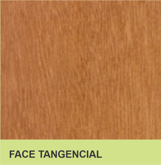FACE TANGENCIAL