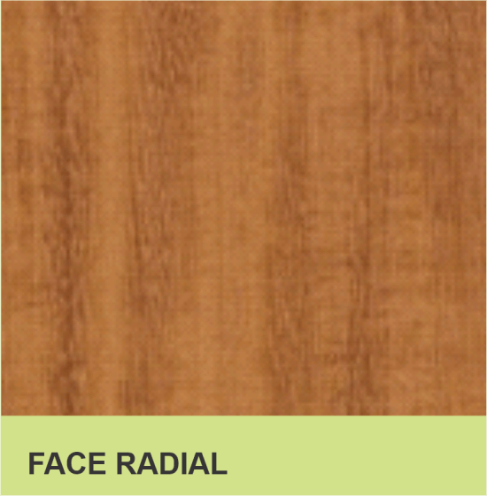 FACE RADIAL