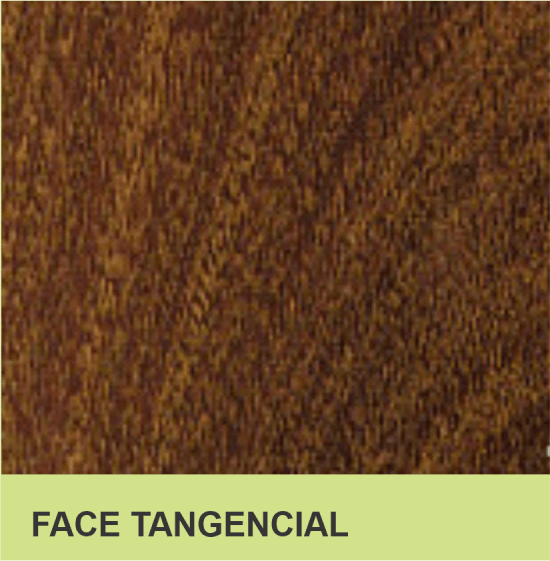 FACE TANGENCIAL