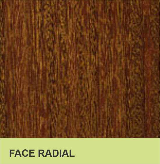 FACE RADIAL