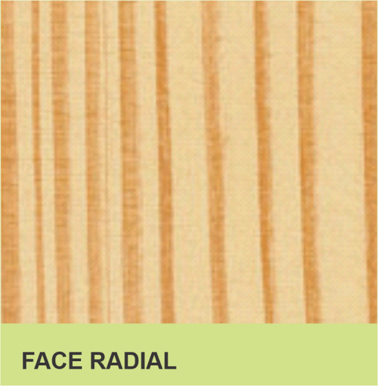 FACE RADIAL